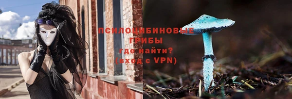 СК Заволжск