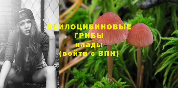 МДМА Заводоуковск