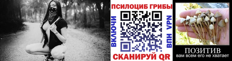 Галлюциногенные грибы мицелий  Купить где  Ртищево 